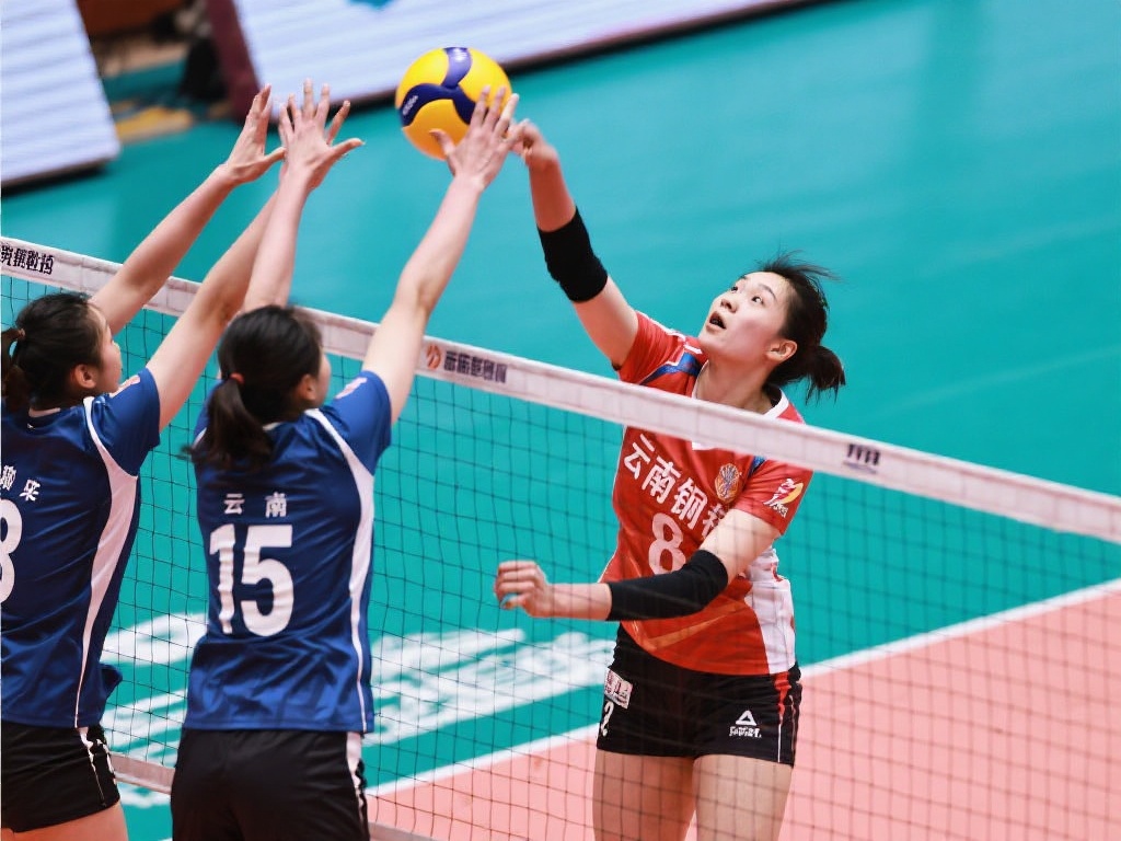 某一个模型 某一个模型